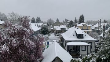 Houses and trees covered in snow.