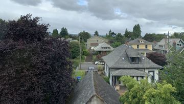 Couple houses and a big tree.