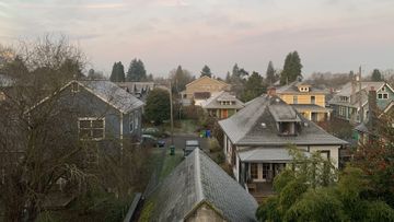 Houses with frost on the roofs.