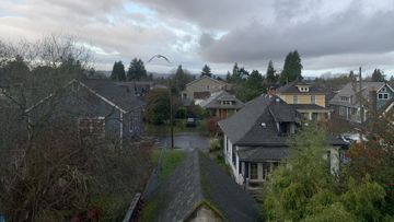 Houses in the winter with a seagull in the air.