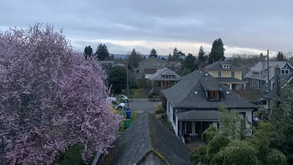 Houses with a tree in full bloom.